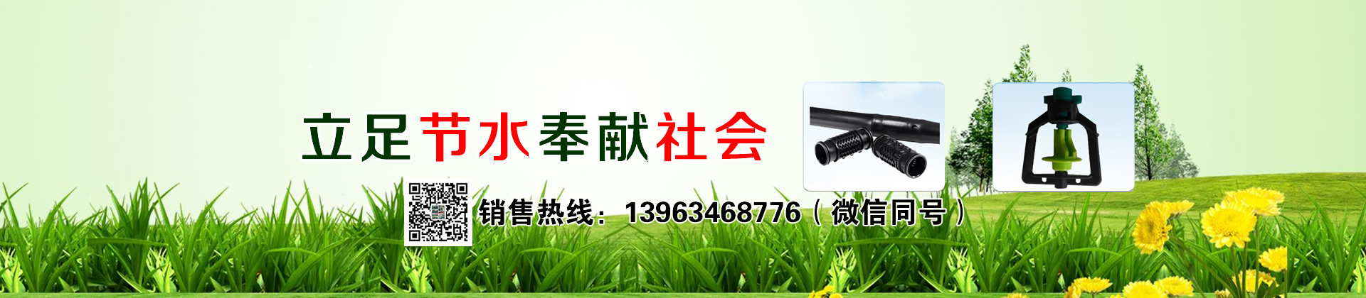 𩾰b(zhun)ßzNNL-35